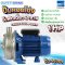 ปั๊มหอยโข่งสแตนเลส PUMP EBARA CDXM-90/10 1.0HP 220V