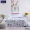 (Factory Sale) Facino ผ้านวมขนาด 60"x80" ผ้านิ่มมาก ทอ 330 เส้นด้าย MIX & MATCH YOUR OWN STYLE