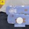 Satin Plus หมอนข้าง รุ่น License PB008