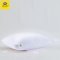 Satin Plus หมอนหนุนรุ่น Soft แพ็คคู่