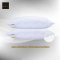 Premier Satin หมอนหนุน รุ่น Essential Pro