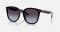 Rayban RB4423D 68078G Size 66 (CHINESE NEW YEAR OF THE SNAKE 2025)