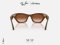 แว่นกันแดด RAYBAN META Zena RW4015 690513
