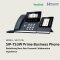 SIP-T53W (Yealink) Prime Business Phone IP Phone IP-PBX Solutions