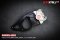 Zontes-150X ขาจับปั๊มหลัง Brembo 2 Pot สำหรับจานขนาด 230 มิล
