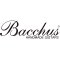 Bacchus เบสไฟฟ้า รุ่น WOODLINE417/M NA/OIL