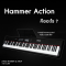Hammer Action สิ่งสำคัญที่ควรรู้เมื่อเลือกซื้อเปียโนไฟฟ้า !!! #HammerAction #JAMILLE 