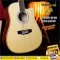 At First: AG-12S, 12 Strings, Acoustic Guitar