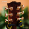 Nologo กีตาร์โปร่ง All Solid Guitars | J210