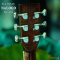 Nologo กีตาร์โปร่ง All Solid Guitars | DC100