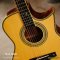 Nologo กีตาร์โปร่ง All Solid Guitars | DC150