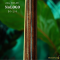 Nologo กีตาร์โปร่ง All Solid Guitars | DC100