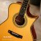 Nologo กีตาร์โปร่ง All Solid Guitars | DC150