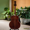 Nologo กีตาร์โปร่ง All Solid Guitars | J210