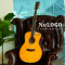 Nologo กีตาร์โปร่ง All Solid Guitars | D300 YL