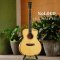 Nologo กีตาร์โปร่ง All Solid Guitars | D300
