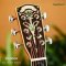 Nologo กีตาร์โปร่ง All Solid Guitars | DC150