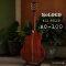 Nologo All Solid Guitar - AC100