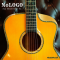 Nologo กีตาร์โปร่ง All Solid Guitars | D300 YL