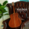 Nologo กีตาร์โปร่ง All Solid Guitars | D300 YL