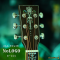 Nologo กีตาร์โปร่ง All Solid Guitars | D100