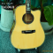 Nologo กีตาร์โปร่ง All Solid Guitars | DC100