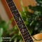 Nologo กีตาร์โปร่ง All Solid Guitars | D300