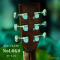 Nologo กีตาร์โปร่ง All Solid Guitars | D100