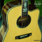 Nologo กีตาร์โปร่ง All Solid Guitars | DC100