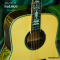 Nologo กีตาร์โปร่ง All Solid Guitars | D100