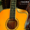 Nologo กีตาร์โปร่ง All Solid Guitars | D300 YL