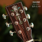 Nologo All Solid Guitar - AC100