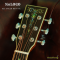 Nologo กีตาร์โปร่ง All Solid Guitars | D300 YL