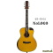 Nologo กีตาร์โปร่ง All Solid Guitars | QD-D502