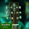 Nologo กีตาร์โปร่ง All Solid Guitars | DC100