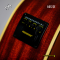 AAt First: AG12S + EQ, 12 Strings, Acoustic Electronic Guitar