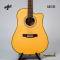 AAt First: AG12S + EQ, 12 Strings, Acoustic Electronic Guitar