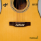 At First: AG-12S, 12 Strings, Acoustic Guitar