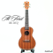 At First อูคูเลเล่ไฟฟ้า Ukulele Concert UK-24EQ