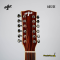 At First: AG-12S, 12 Strings, Acoustic Guitar