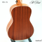 At First: UK-24, Ukulele, Concert + Ukulele Bag + 2 Picks + Tuner + Chords Table