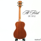 At First อูคูเลเล่ไฟฟ้า Ukulele Concert UK-24EQ