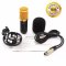 BM-800 ไมค์อัดเสียง Condenser Microphone