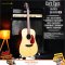Cat's Eyes Guitar: CE-57, Acoustic Guitar