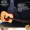 Cat's Eyes Guitar: CE-95, Acoustic Guitar, All Solid