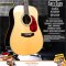Cat's Eyes Guitar: CE-162, Acoustic Guitar, All Solid