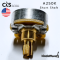 CTS - Pot A250K / B250K Short Shaft