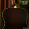 Cat's Eyes Guitar กีตาร์โปร่ง Top Solid รุ่น CE-80T + LR.Baggs VTC