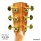 Cole Clark | AN2EC-RDBL - SN : 250314987