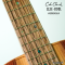 Cole Clark - CCLL2E-RDBL - SN :25051583